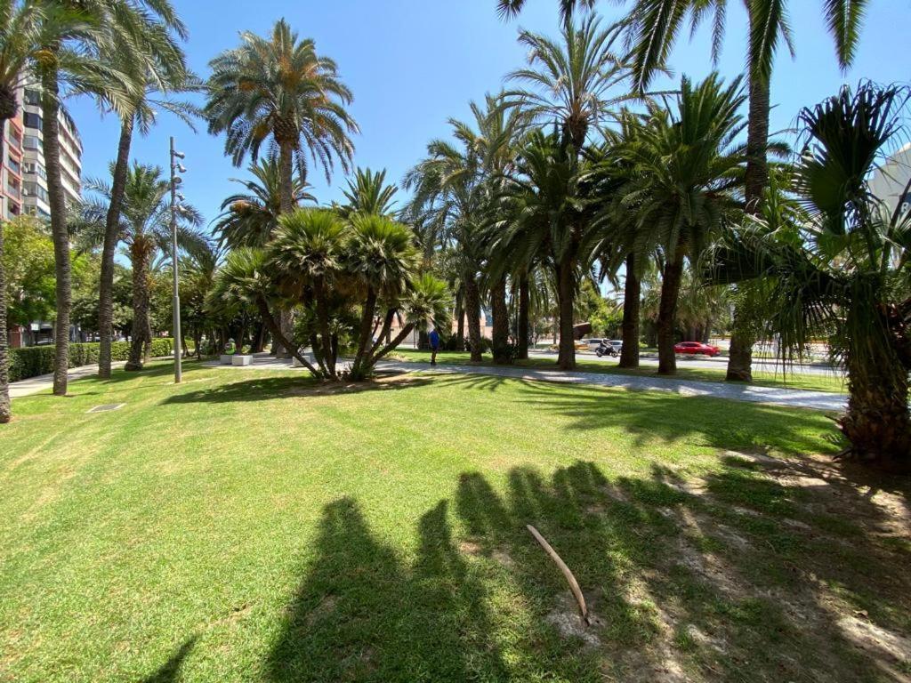 Tropical Loft Apartment Alicante Exterior photo